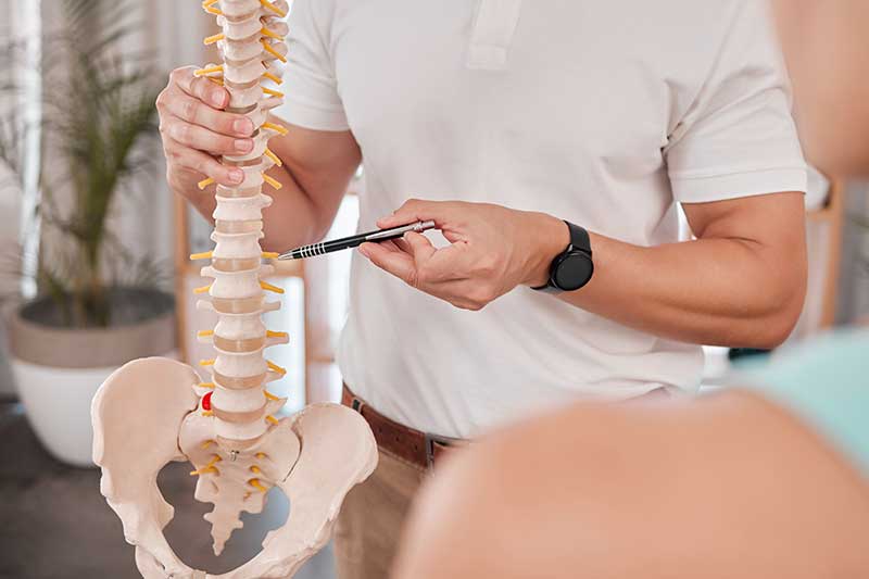 Clinician points to lumbar vertebrae on a spine model for an auto accident victim