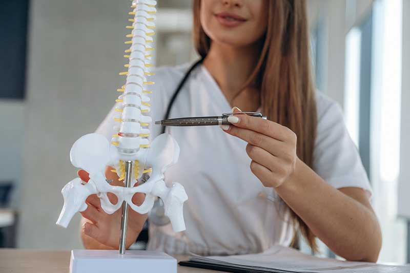 Doctor pointing to spine model